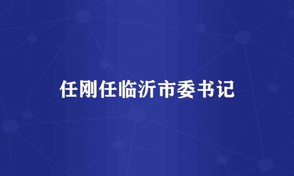 任刚任临沂市委书记