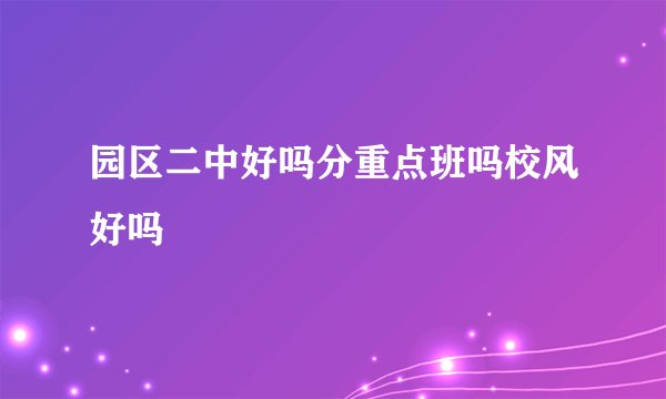 园区二中好吗分重点班吗校风好吗