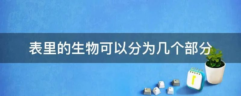 表里的生物可以分为几个部分