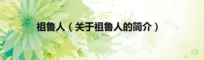 祖鲁人（关于祖鲁人的简介）