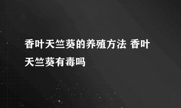 香叶天竺葵的养殖方法 香叶天竺葵有毒吗