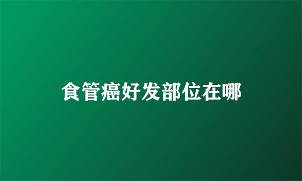 食管癌好发部位在哪
