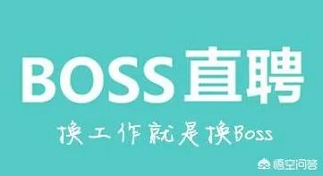 大公司一般在什么招聘软件上招聘?
