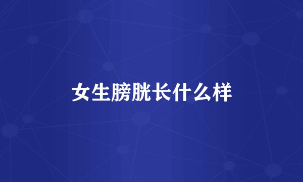 女生膀胱长什么样