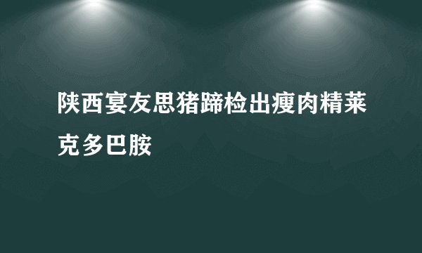 陕西宴友思猪蹄检出瘦肉精莱克多巴胺