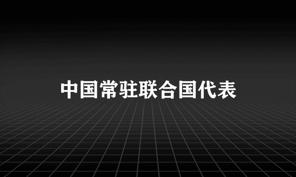中国常驻联合国代表