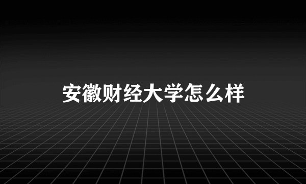 安徽财经大学怎么样