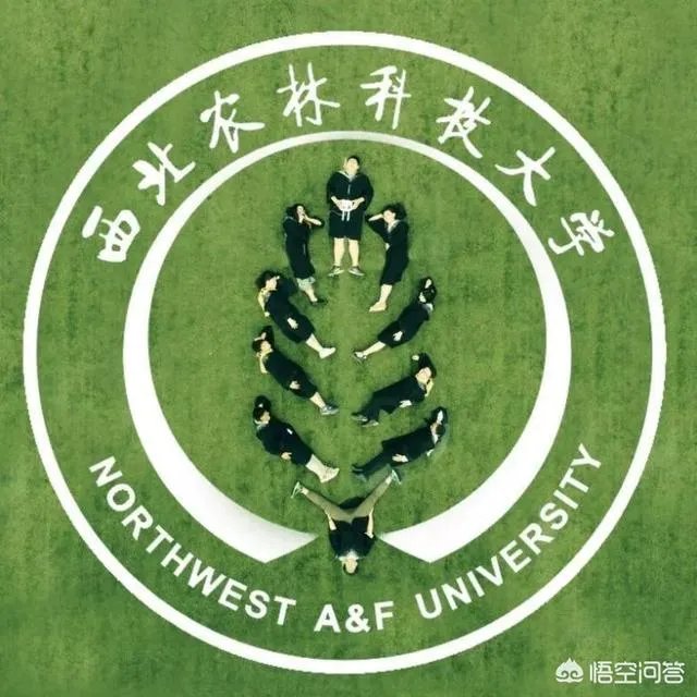 又是一年毕业季,摄影师怎么才能拍出有创意照片?