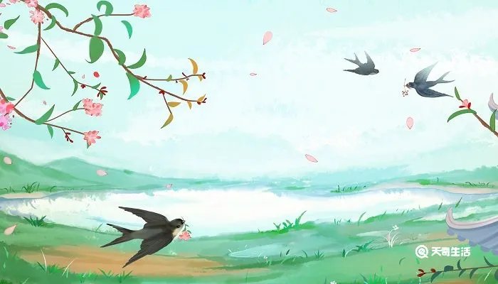 春来江水绿如蓝的上一句