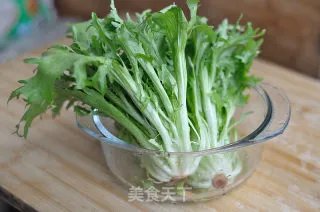 凉拌苦菊