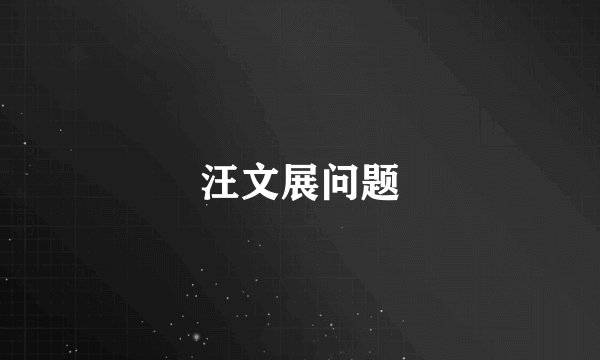 汪文展问题
