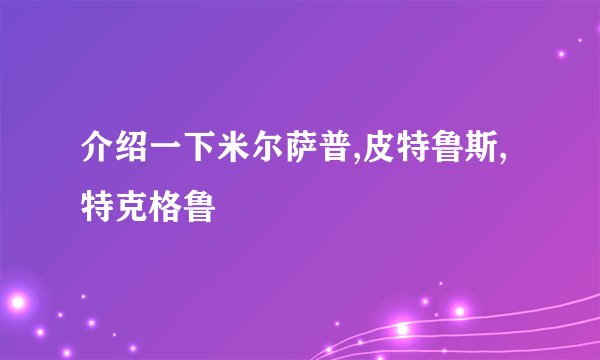 介绍一下米尔萨普,皮特鲁斯,特克格鲁