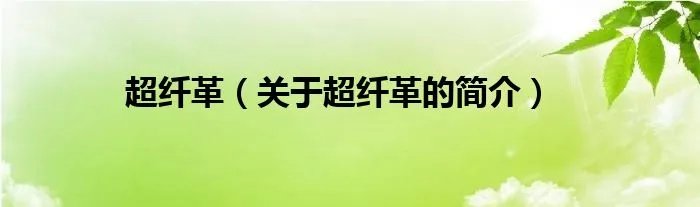 超纤革（关于超纤革的简介）