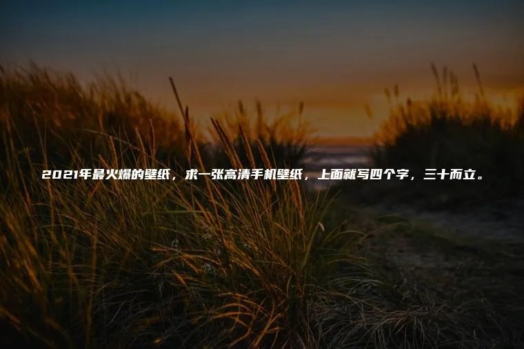 2021年最火爆的壁纸,求一张高清手机壁纸,上面就写四个字,三十而立。
