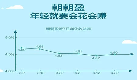朝朝盈是什么?