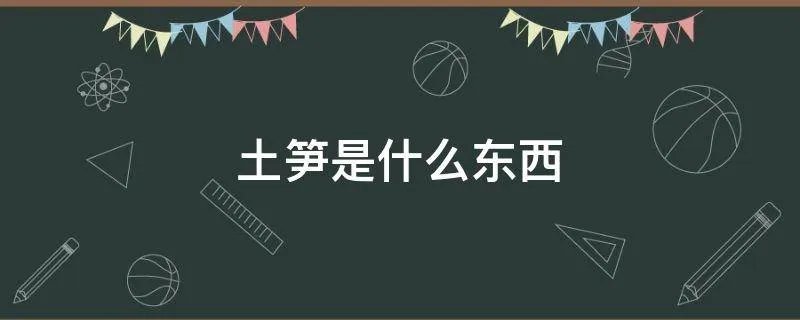 土笋是什么东西