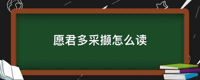 愿君多采撷怎么读