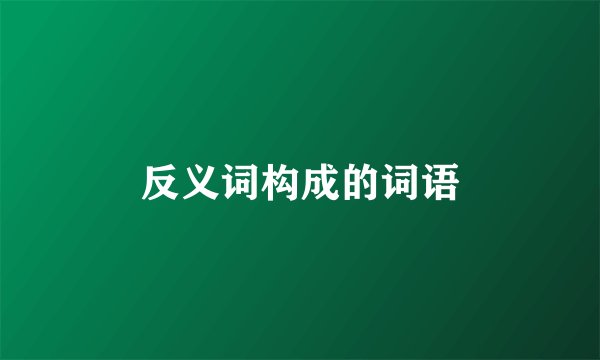 反义词构成的词语