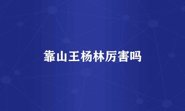 靠山王杨林厉害吗