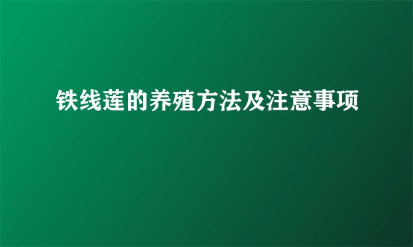 铁线莲的养殖方法及注意事项