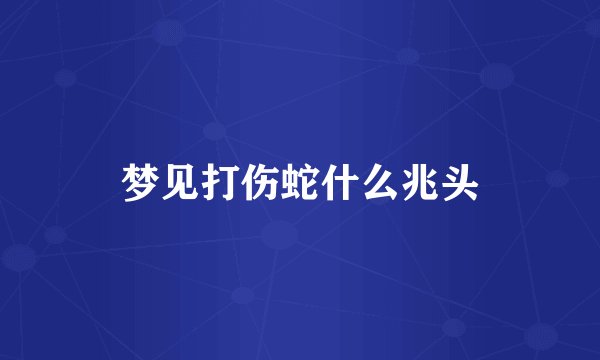 梦见打伤蛇什么兆头