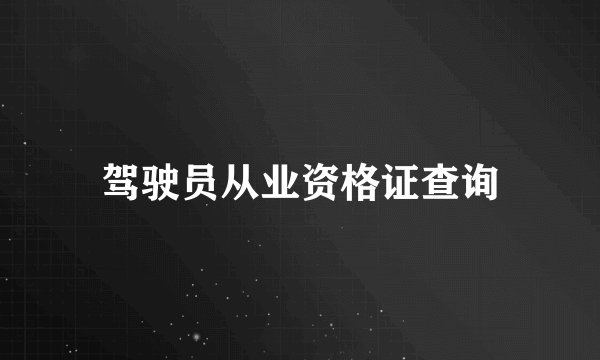 驾驶员从业资格证查询