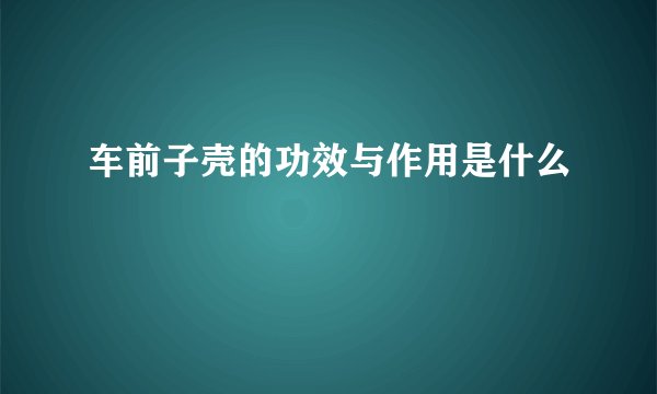 车前子壳的功效与作用是什么