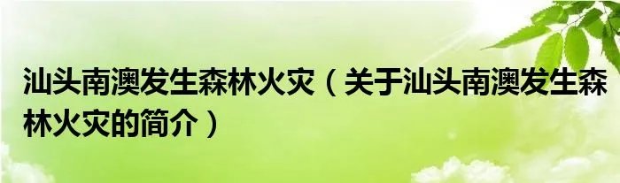 汕头南澳发生森林火灾（关于汕头南澳发生森林火灾的简介）