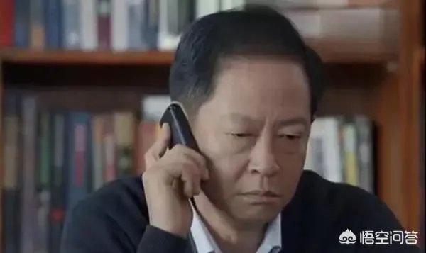你怎么看电视剧《归去来》中王志文扮演的书望?