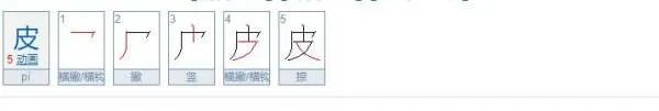 皮的结构是什么