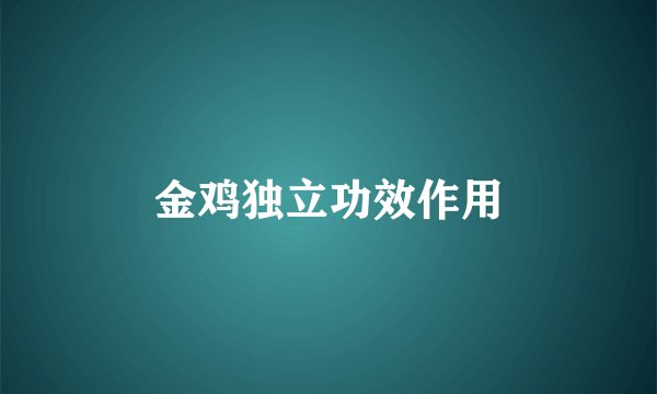 金鸡独立功效作用