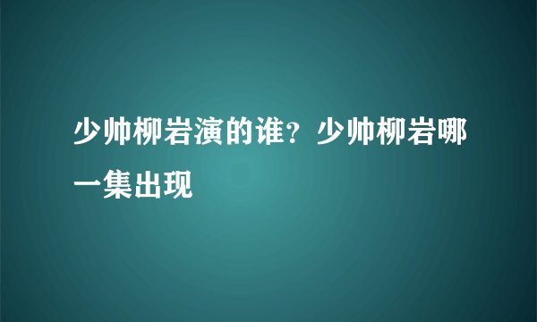 少帅柳岩演的谁?少帅柳岩哪一集出现