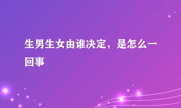 生男生女由谁决定，是怎么一回事