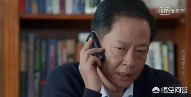 你怎么看电视剧《归去来》中王志文扮演的书望?