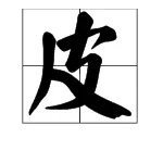 皮的结构是什么