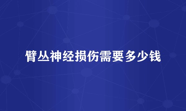 臂丛神经损伤需要多少钱