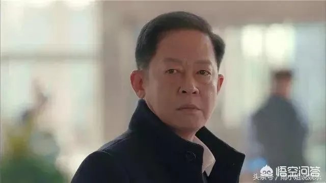 你怎么看电视剧《归去来》中王志文扮演的书望?