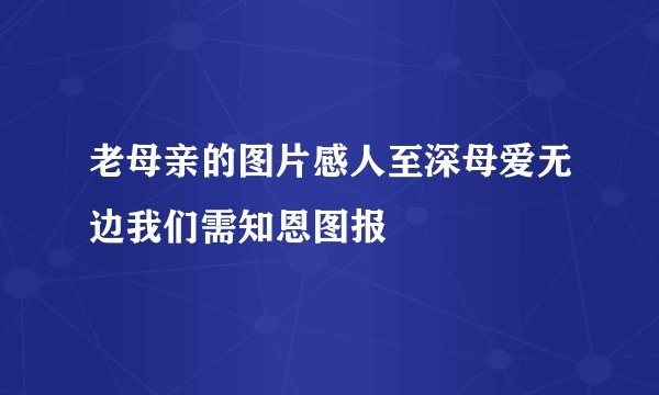 老母亲的图片感人至深母爱无边我们需知恩图报