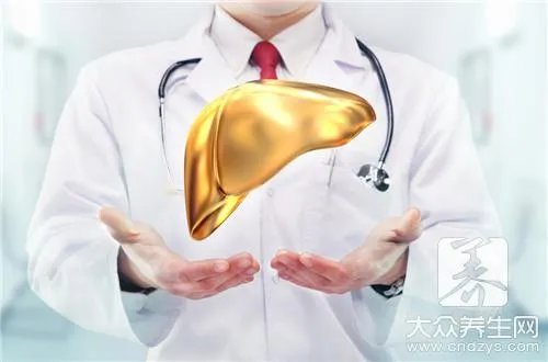 人体结构图五脏六腑