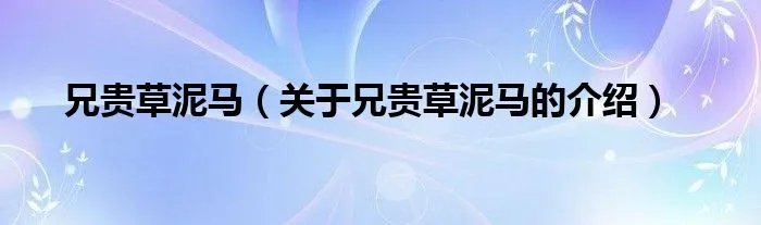 兄贵草泥马（关于兄贵草泥马的介绍）