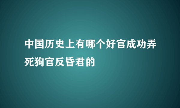 中国历史上有哪个好官成功弄死狗官反昏君的