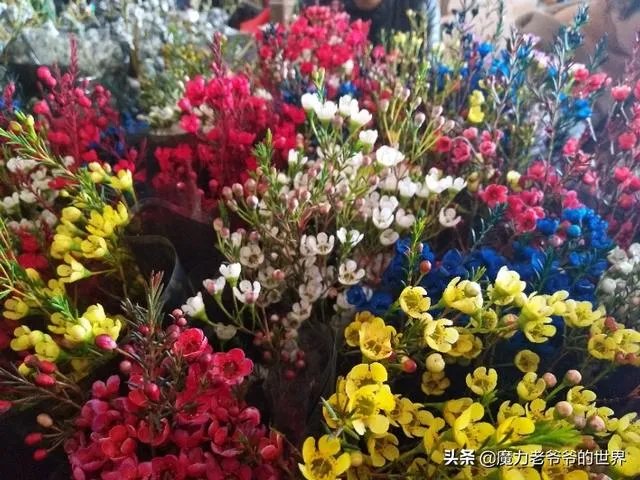 昆明哪家花店值得一去?