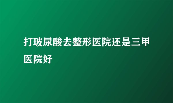 打玻尿酸去整形医院还是三甲医院好
