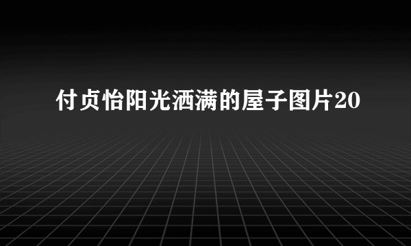 付贞怡阳光洒满的屋子图片20