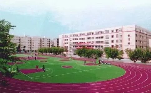春天的校园作文