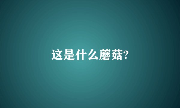 这是什么蘑菇?