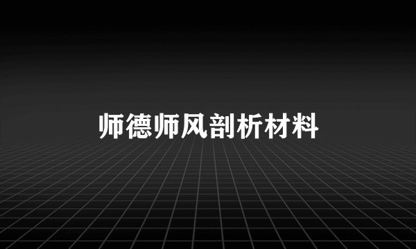 师德师风剖析材料
