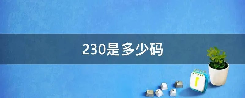 230是多少码