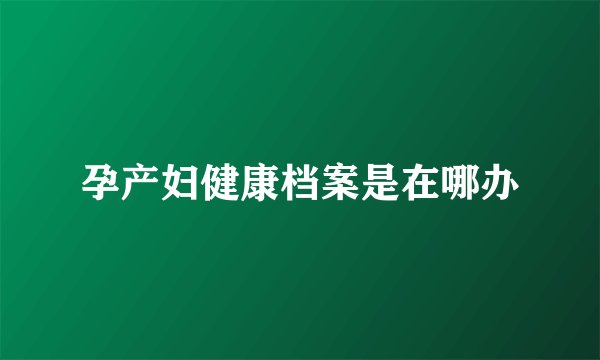 孕产妇健康档案是在哪办