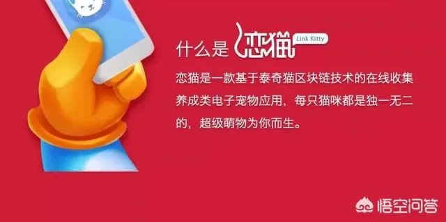 泰奇猫是谁发布的?值得关注吗?